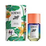 LOEWE Paula's Ibiza Eclectic